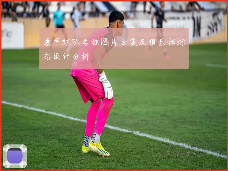 意甲球队名称图片合集及俱乐部标志设计分析