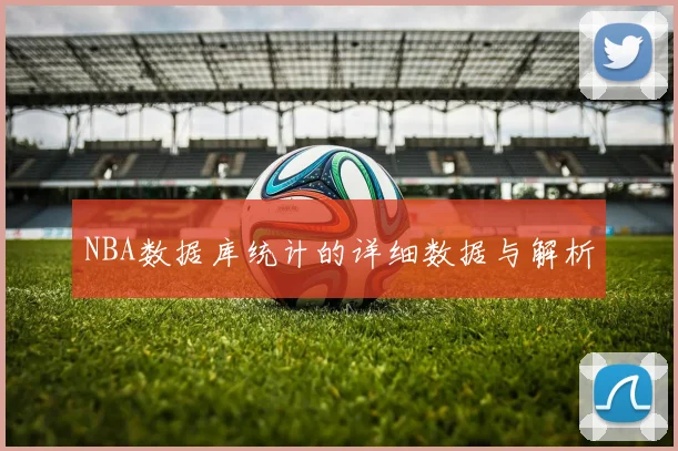 NBA数据库统计的详细数据与解析