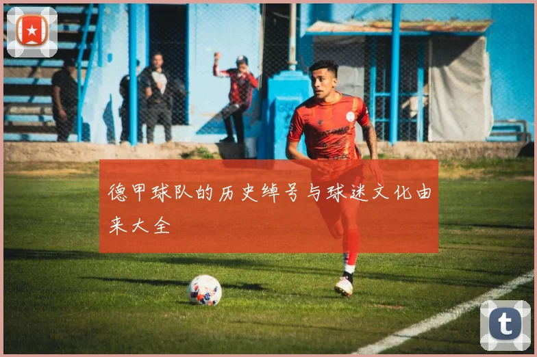 德甲球队的历史绰号与球迷文化由来大全