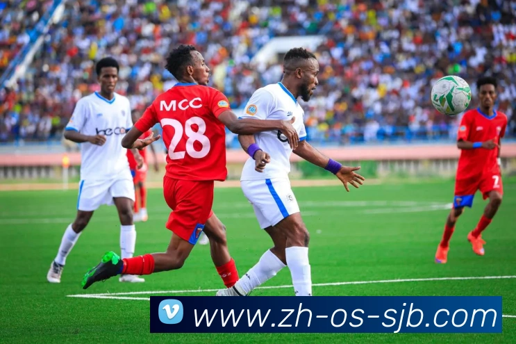 世界杯买球平台生态图