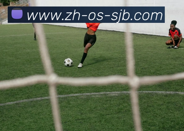 数据防护可视化