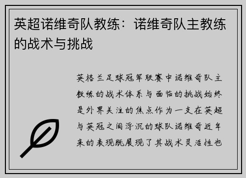英超诺维奇队教练：诺维奇队主教练的战术与挑战